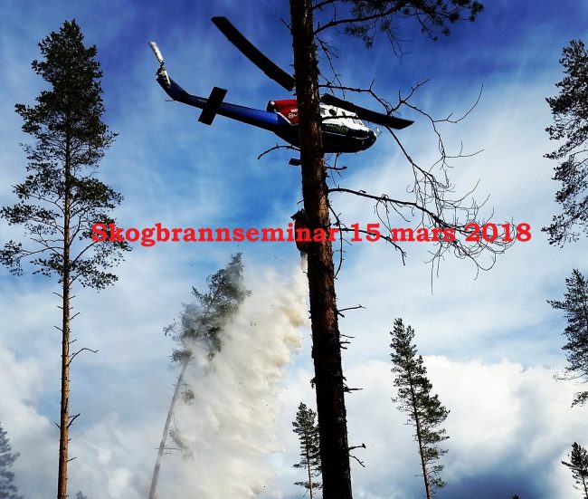 Skogbrannseminar 2018