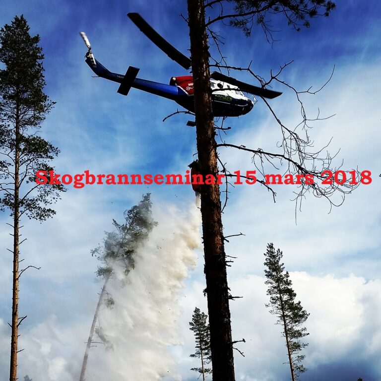 Skogbrannseminar 2018