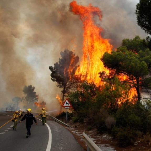 Incendio_de_Barranco_Blanco 2012 FranDuca, CC BY-SA 4.0 creativecommons.org_